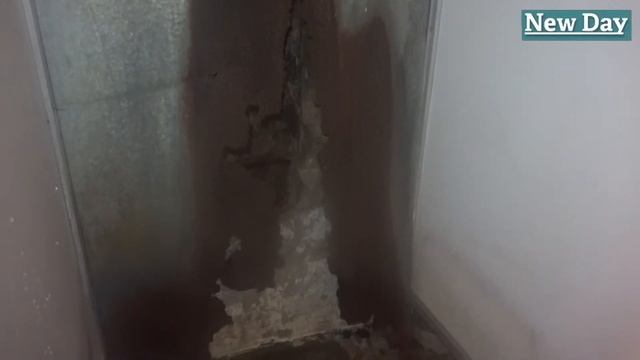 Забытый остров смотреть онлайн