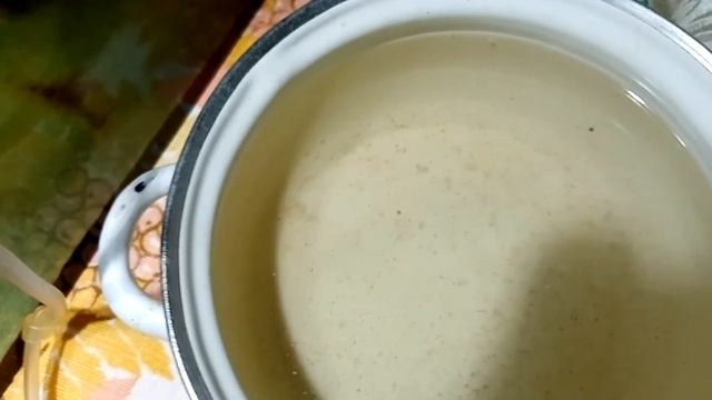 Малёк данио растет смотреть онлайн