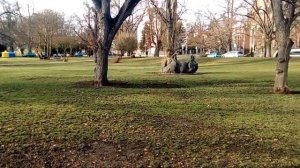 Отсутсвие  беженцев в Европе , Теплице  ( Чехия )