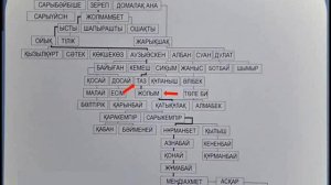 КУНАЕВ Д. А.  ВОЗМОЖНО ИЗ РОДА ТАЗ МЛАДШЕГО ЖУЗА И ПОТОМОК ДЖУЧИ ХАНА ЗОЛОТОЙ ОРДЫ