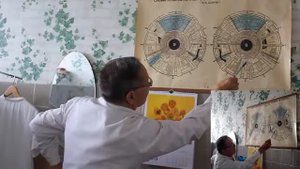Как определить Здоровье по радужке глаза.How to determine the health of the iris of the eye.