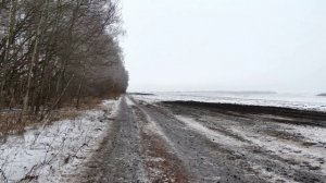 Погрузка сахарной свеклы.mp4