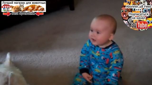 Собаки и дети, лучшие друзья * Hunder og babyer - beste venner смотреть онлайн