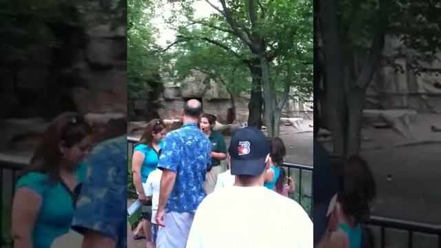 Lincoln Park Zoo Tour Guide