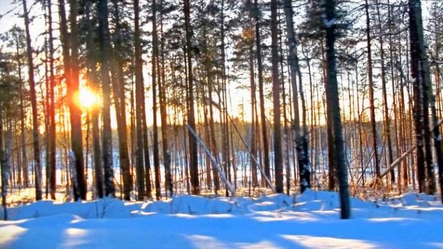 Живет село родное ансамбль Сельские зори