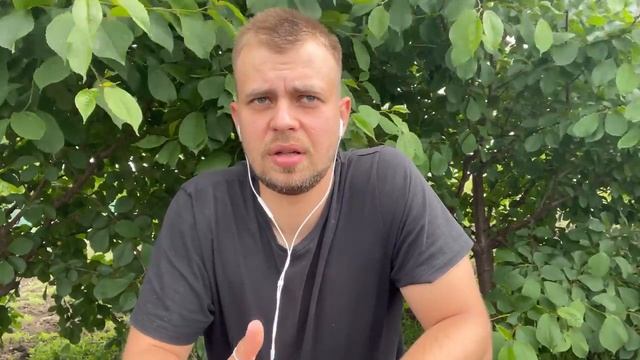 Чим удобрити грецький горіх? База