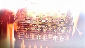 Prototype 2 Доктор Гутьеррес