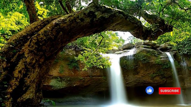 Serenity Sounds: Meditative Flute Melodies, soothing music for relaxing stress relief healing music