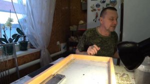 Часть 4. Влияние температуры на выход ювенилов и рост червя.