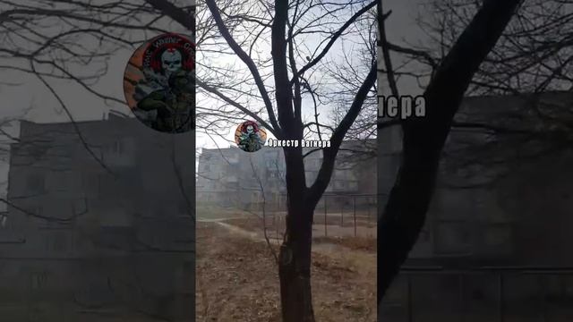 На окраинах Бахмута продолжаются сильные бои, звуки на фоне тому свидетельство. смотреть онлайн