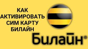 Как активировать сим карту Билайн