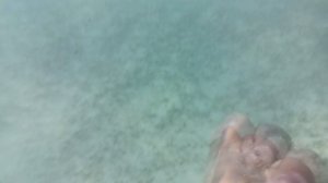 МОИ НОВОГОДНИЕ КАНИКУЛЫ 2023 В ЕГИПТЕ В ШАРМ-ЭЛЬ-ШЕЙХ