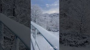 15.02.2023г мой аул Псебе( Псыбэ)