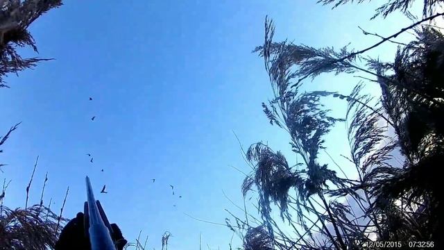 Охота на гуся. Нарезка смотреть онлайн