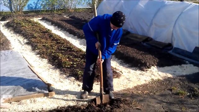 весёлое начало дачного сезона смотреть онлайн