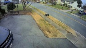 HDZero Goggles | HDZero Moblite 7 | T-Lite V2