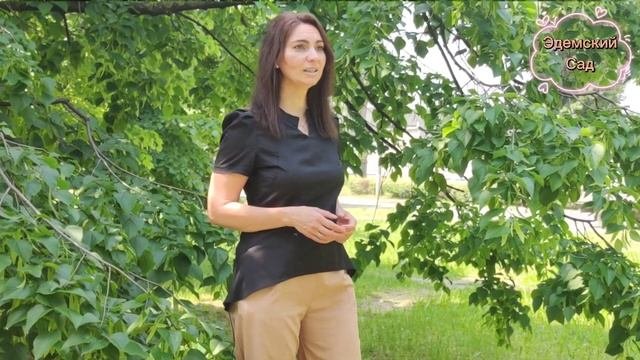 Основные работы на садовых участках в июне. Что обязательно нужно сделать.