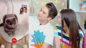 ЗВОНОК КОШКЕ ПО ВИДЕО, КАК ОНА ОТРЕАГИРОВАЛА?