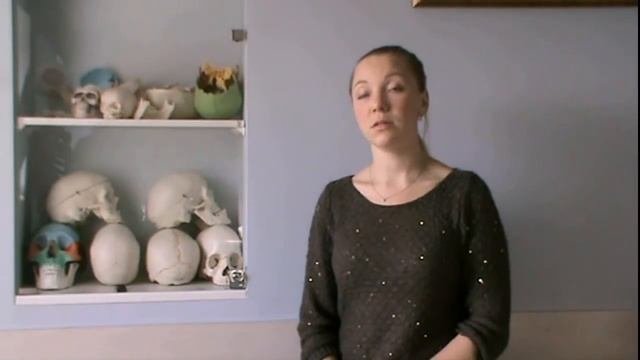 Европейская школа остеопатии в Санкт-Петербурге