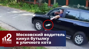 Московский водитель кинул бутылку в уличного кота