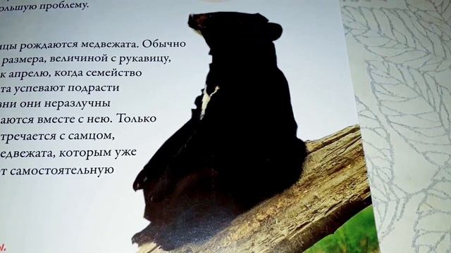 Моя страна Собери Карту России от Hachette Выпуск № 80/ My country Collect the Map of Russia