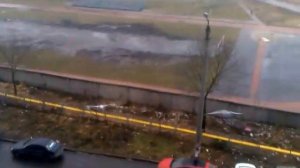 Одинокий голубь на корнизе за окном