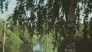 Татьяна Рузавина, Сергей Таюшев - Не покидает нас весна