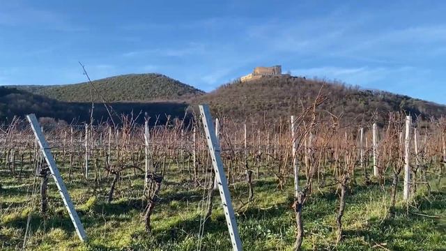 Видео обзор нашей местности/Погода просто класс☀️☀️☀️ смотреть онлайн
