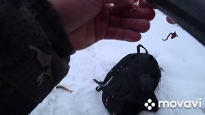 ловля на боковой кивок 31декабря)))