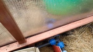 полив теплицы дождевой водой