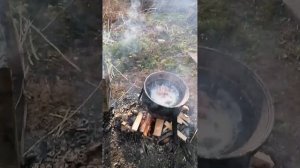 Форель в фольге, улитки по-бургунски, креветки в сливочно чесночном соусе и мидии с лимоном.