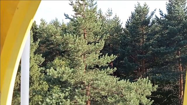 Маленькая Швейцария Кузбасса. Междуреченск. Часть 1. #путешествия #городароссии #междуреченск
