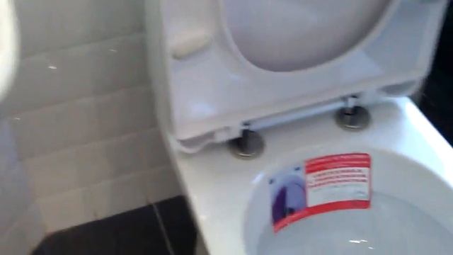 Быстросъёмное сиденье с металлическими креплениями SANITA LUXE™ смотреть онлайн