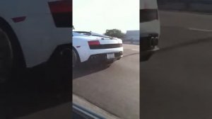 Lambo vs fit :)