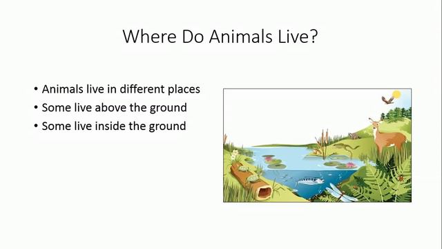Science Video Tutorial For Grade 1: Animals - Food & Shelter смотреть онлайн