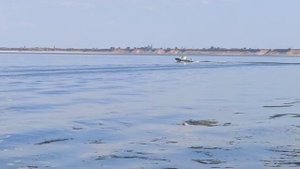 Прогресс 2 Ямаха 40 под стальным винтом. Первый заезд