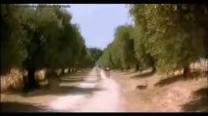 Можно ли по яйцам осла узнать время?