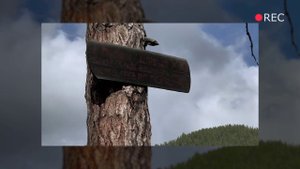 ОСТАЛИСЬ ВОПРОСЫ. СТРАННЫЙ ВОДОМЕТНЫЙ ПОХОД. Крупный хариус. Фильм о путешествии и рыбалке в Тыве