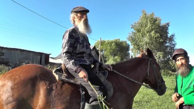 Господа казаки!   Не любо ,братцы, не любо! смотреть онлайн
