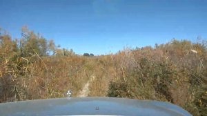 Казахстан, река Или, рыбалка, на Кокжиде 6