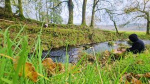Large Fresh Chicken Nuggets prepared from scratch.  ASMR Outdoor Cooking