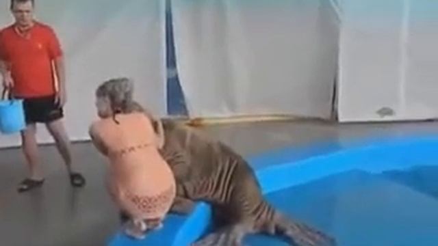 Улетное видео смотреть онлайн