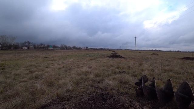 Готовимся к весенней посадке павловнии смотреть онлайн