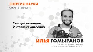 Лекция Ильи Гомыранова «Сны для осьминога. Интеллект животных»