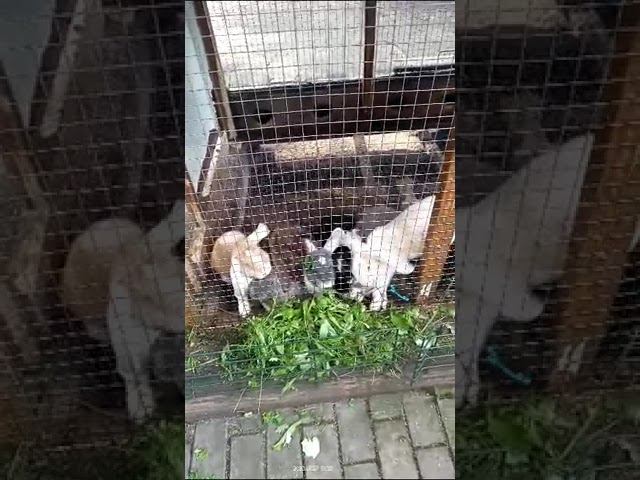 27 июля 2023 г. смотреть онлайн