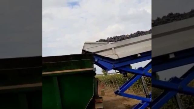 Прицеп для сбора и перевозки винограда.mp4 смотреть онлайн