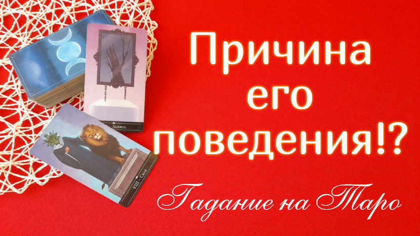 Это его нормальное поведение или он издевается? - 2 варианта