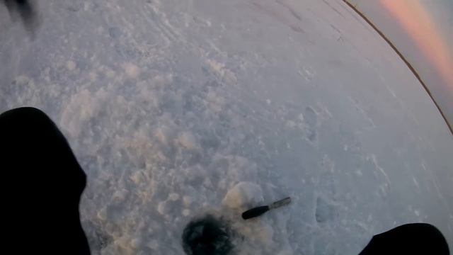 Ловля щуки на жерлицы. РАЗДАЧА ТОВАРНОЙ ЩУКИ !!! ОТКРЫТИЕ СЕЗОНА 2017 !!! смотреть онлайн