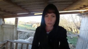 Выпадение матки у козы,и как ей помочь