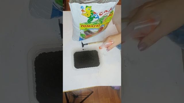 Балконные огурцы Окошко F1 смотреть онлайн